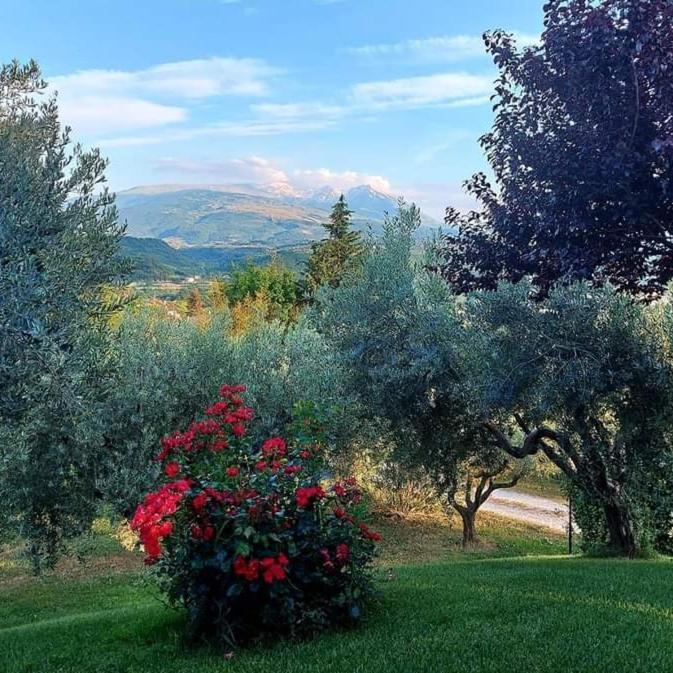 Bed&Breakfast Le Coccinelle Bed and Breakfast Rosciano  Esterno foto