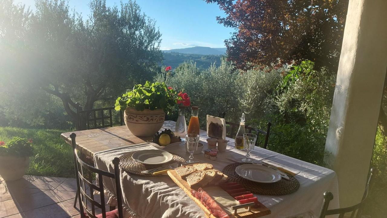 Bed&Breakfast Le Coccinelle Bed and Breakfast Rosciano  Esterno foto